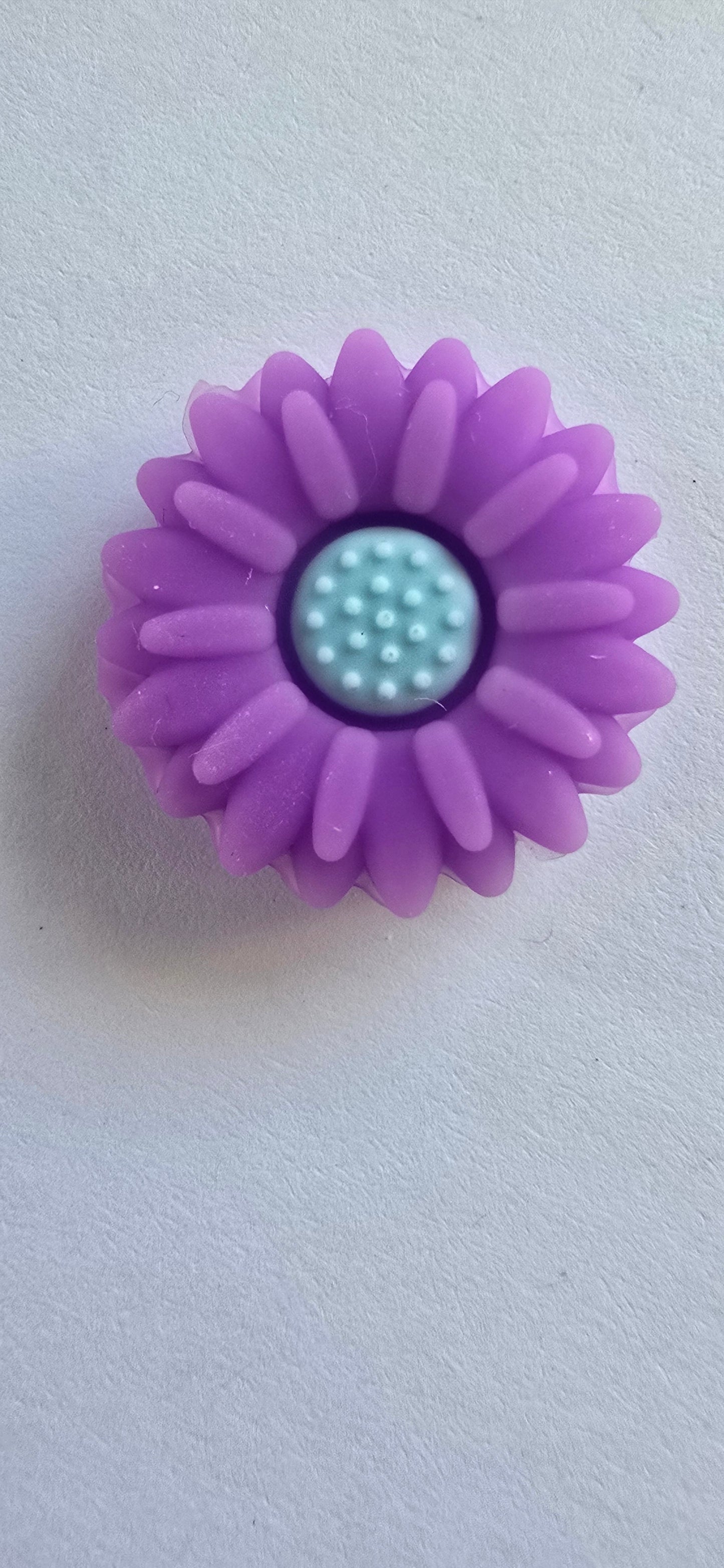 Purple Daisy